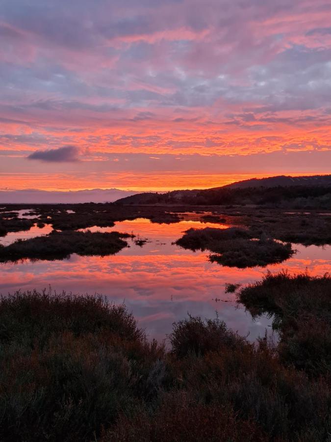 L'Oasis De Port Fitou Διαμέρισμα Εξωτερικό φωτογραφία